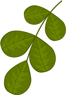 petroleum